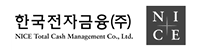 한국전자금융